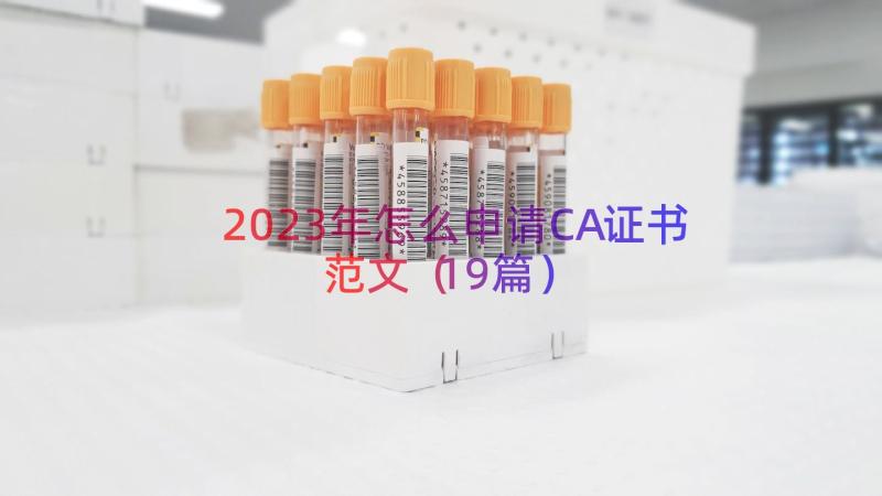 2023年怎么申请CA证书范文（19篇）