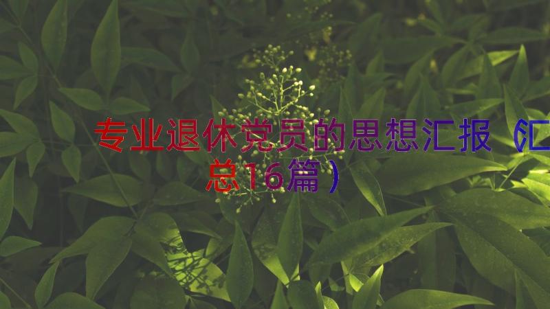 专业退休党员的思想汇报（汇总16篇）