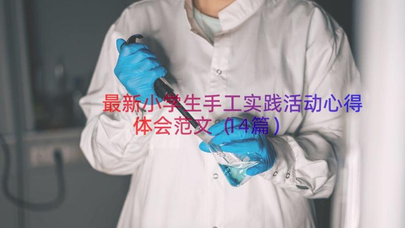 最新小学生手工实践活动心得体会范文（14篇）