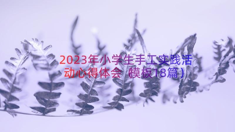 2023年小学生手工实践活动心得体会（模板18篇）