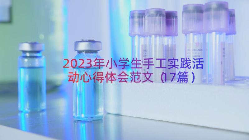 2023年小学生手工实践活动心得体会范文（17篇）