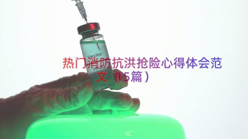 热门消防抗洪抢险心得体会范文（15篇）