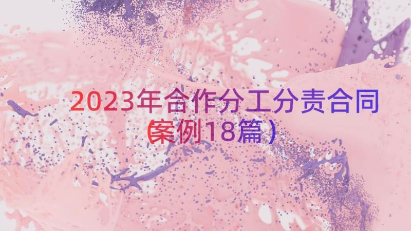 2023年合作分工分责合同（案例18篇）