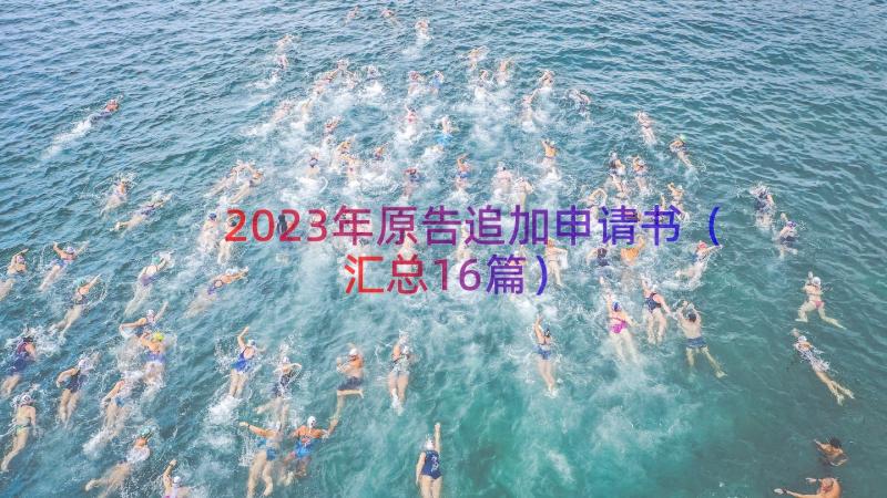 2023年原告追加申请书（汇总16篇）