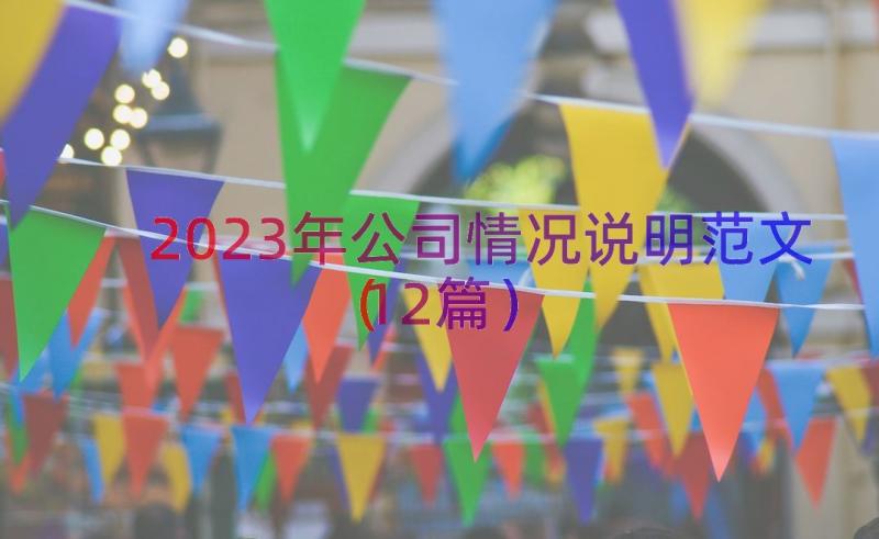 2023年公司情况说明范文（12篇）