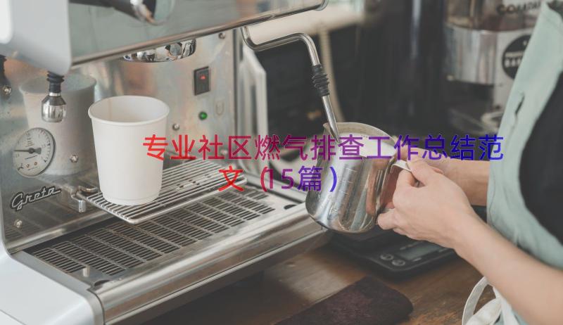 专业社区燃气排查工作总结范文（15篇）