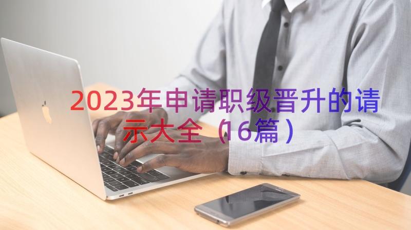 2023年申请职级晋升的请示大全（16篇）