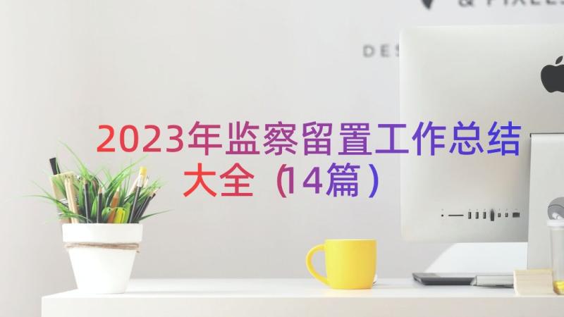 2023年监察留置工作总结大全（14篇）