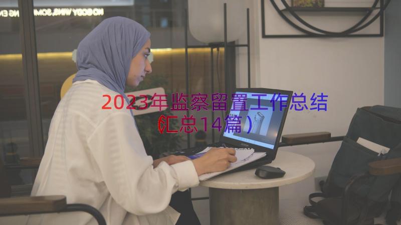 2023年监察留置工作总结（汇总14篇）