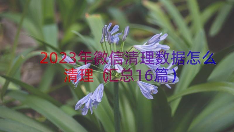 2023年微信清理数据怎么清理（汇总16篇）