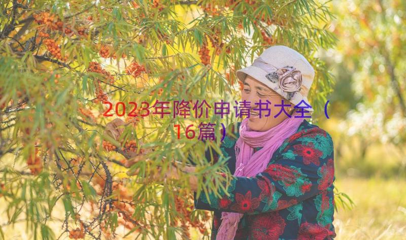 2023年降价申请书大全（16篇）