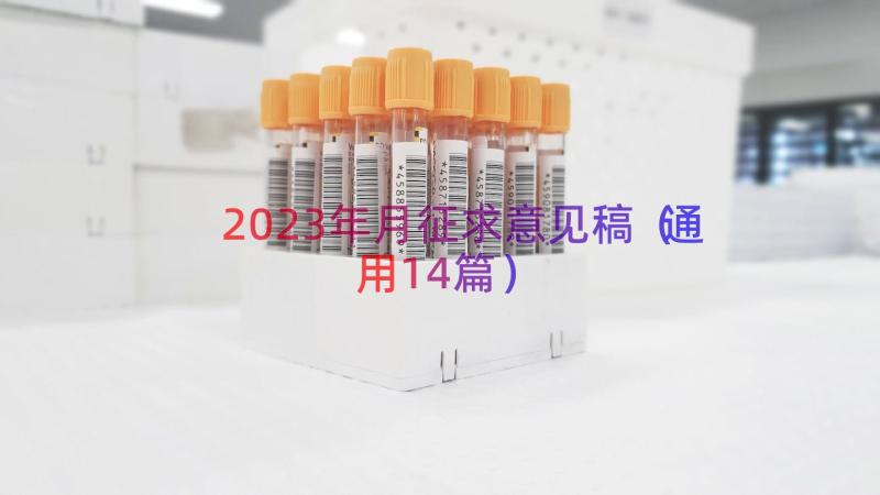 2023年月征求意见稿（通用14篇）