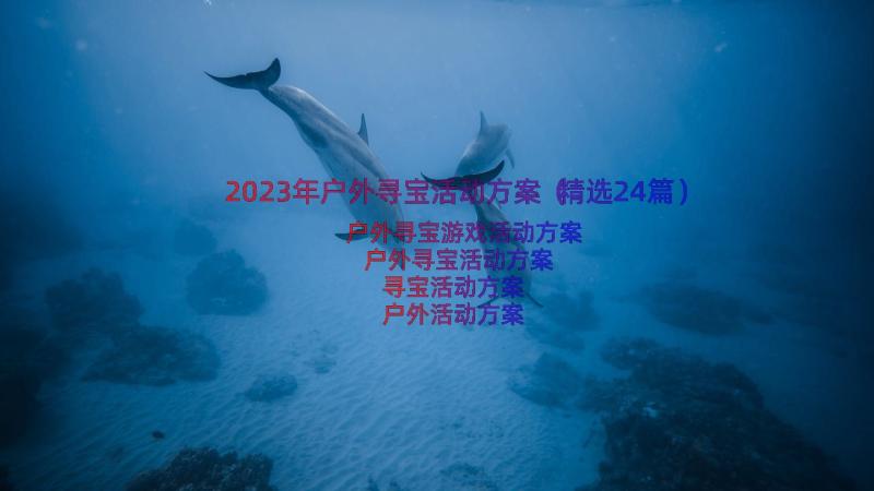 2023年户外寻宝活动方案（精选24篇）