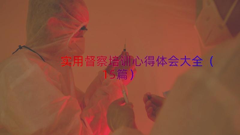 实用督察培训心得体会大全（15篇）