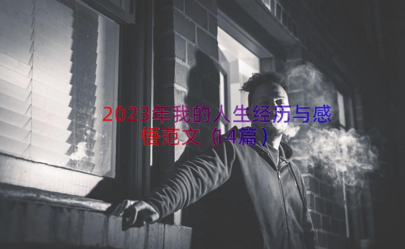 2023年我的人生经历与感悟范文（14篇）