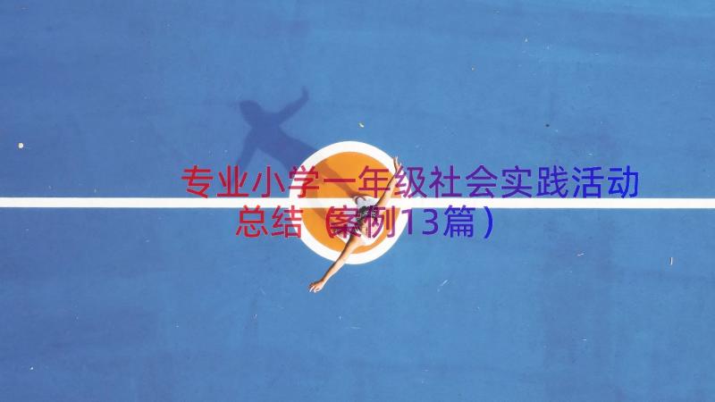 专业小学一年级社会实践活动总结（案例13篇）