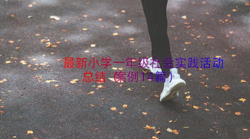 最新小学一年级社会实践活动总结（案例14篇）