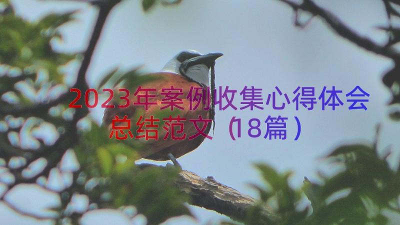 2023年案例收集心得体会总结范文（18篇）