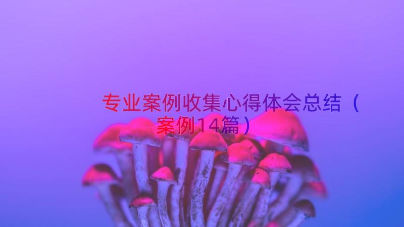 专业案例收集心得体会总结（案例14篇）