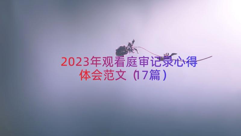 2023年观看庭审记录心得体会范文（17篇）