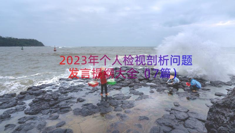 2023年个人检视剖析问题发言提纲大全（17篇）