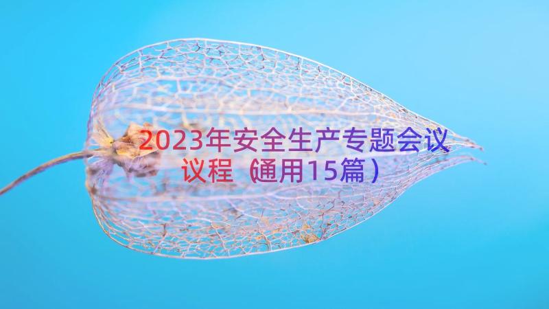 2023年安全生产专题会议议程（通用15篇）