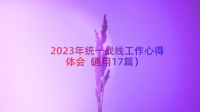 2023年统一战线工作心得体会（通用17篇）