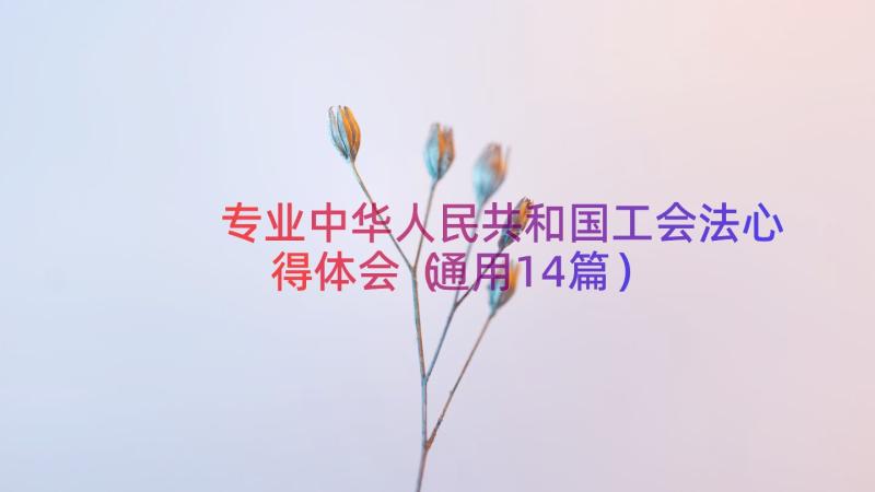 专业中华人民共和国工会法心得体会（通用14篇）