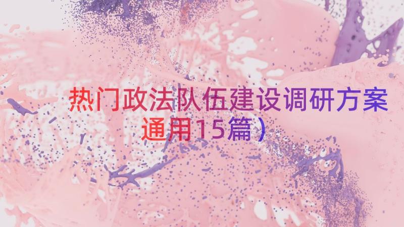 热门政法队伍建设调研方案（通用15篇）