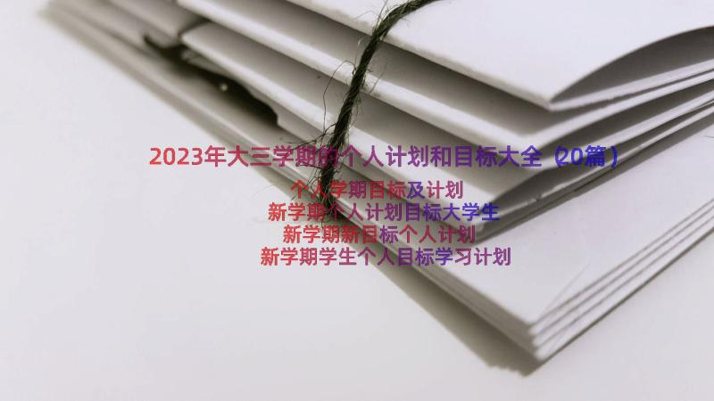 2023年大三学期的个人计划和目标大全（20篇）