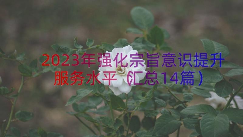 2023年强化宗旨意识提升服务水平（汇总14篇）