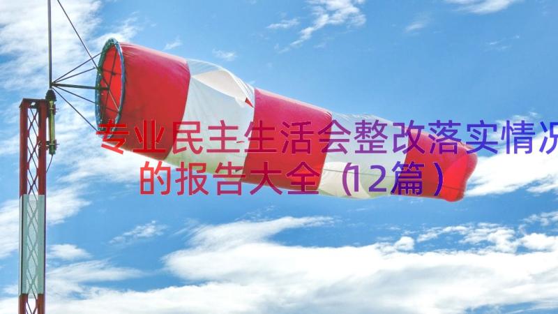 专业民主生活会整改落实情况的报告大全（12篇）