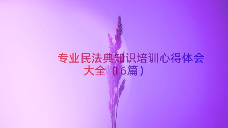 专业民法典知识培训心得体会大全（16篇）