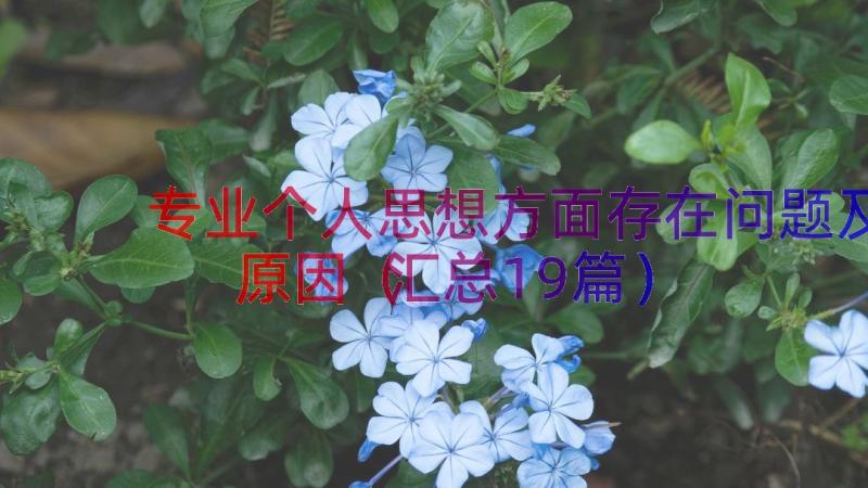 专业个人思想方面存在问题及原因（汇总19篇）