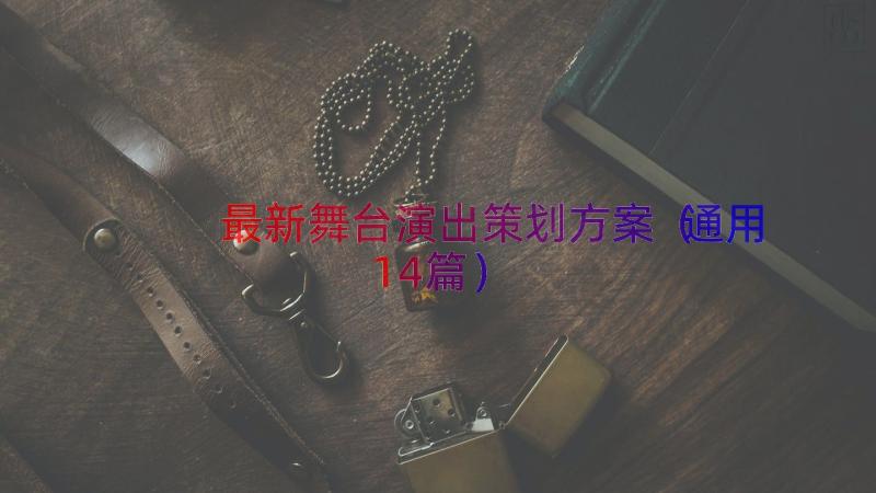 最新舞台演出策划方案（通用14篇）