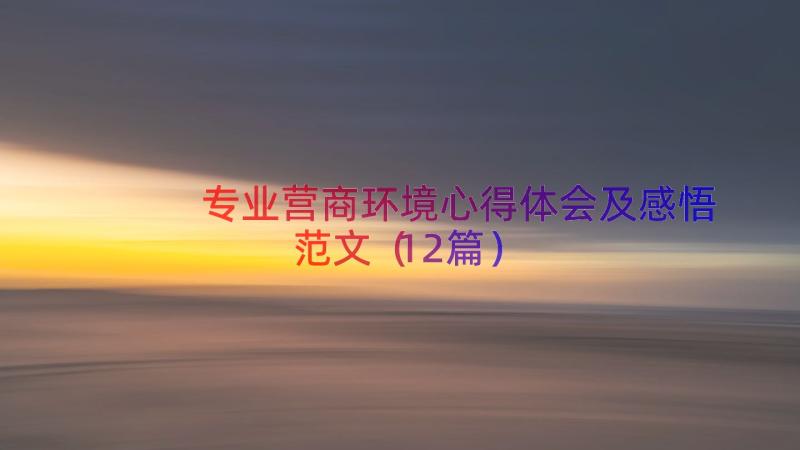 专业营商环境心得体会及感悟范文（12篇）