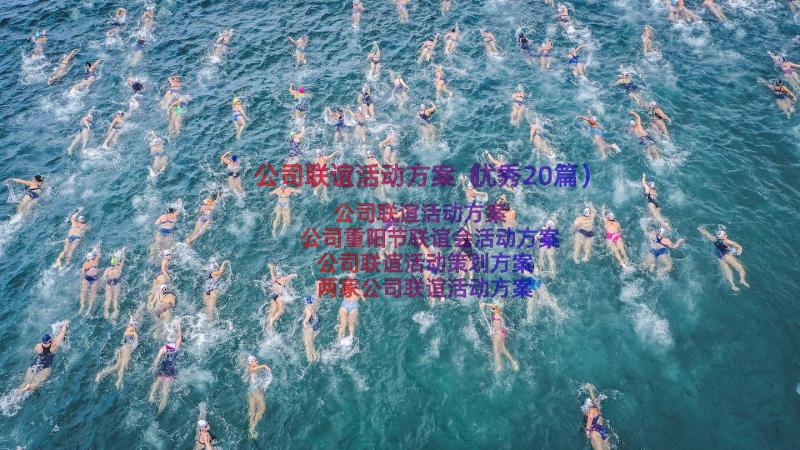 公司联谊活动方案（优秀20篇）