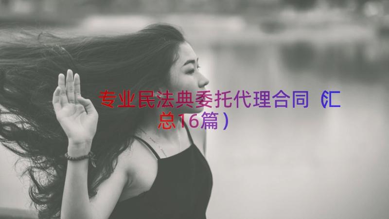 专业民法典委托代理合同（汇总16篇）