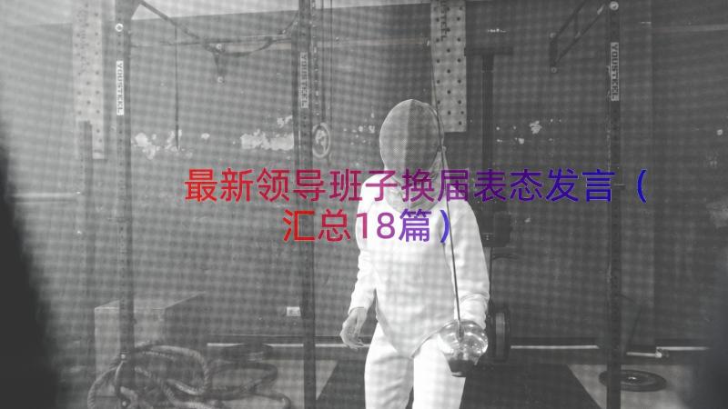 最新领导班子换届表态发言（汇总18篇）