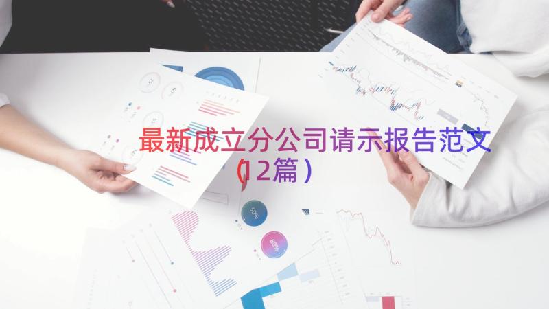 最新成立分公司请示报告范文（12篇）