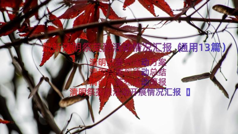 最新清明祭英烈活动情况汇报（通用13篇）