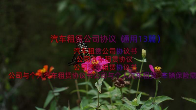 汽车租赁公司协议（通用13篇）