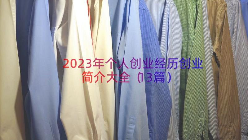 2023年个人创业经历创业简介大全（13篇）