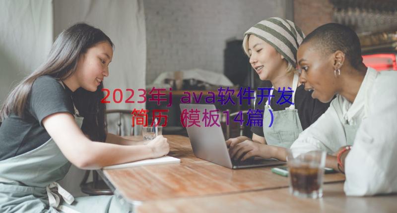 2023年java软件开发简历（模板14篇）