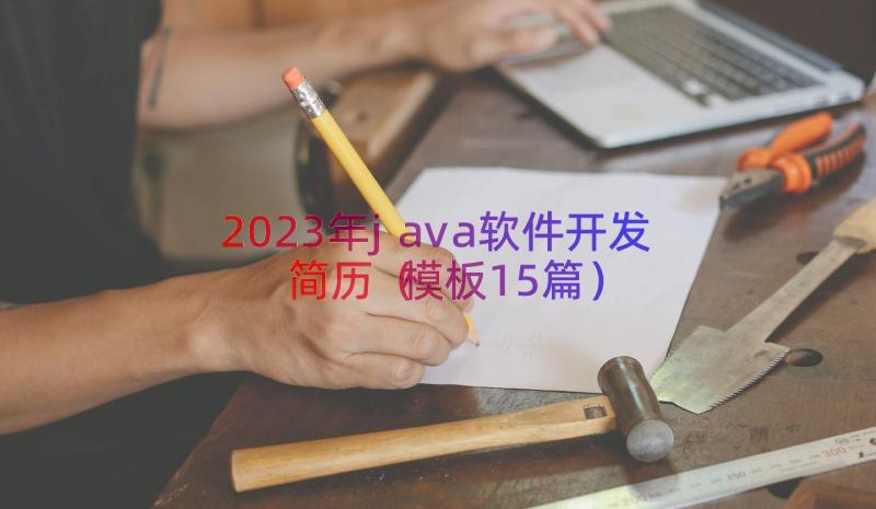 2023年java软件开发简历（模板15篇）