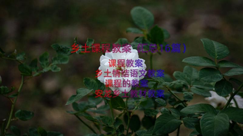 乡土课程教案（汇总16篇）