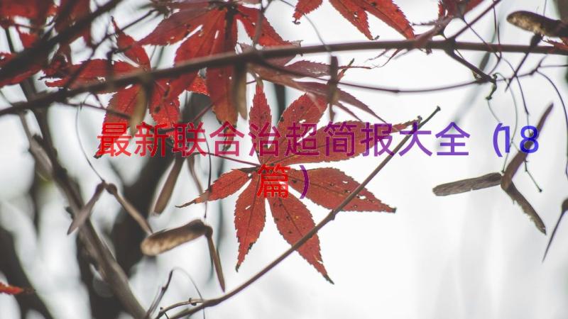 最新联合治超简报大全（18篇）