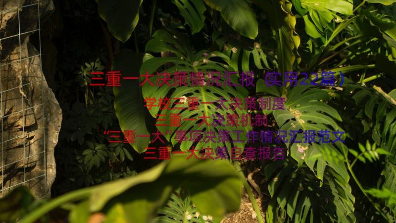 三重一大决策情况汇报（实用22篇）