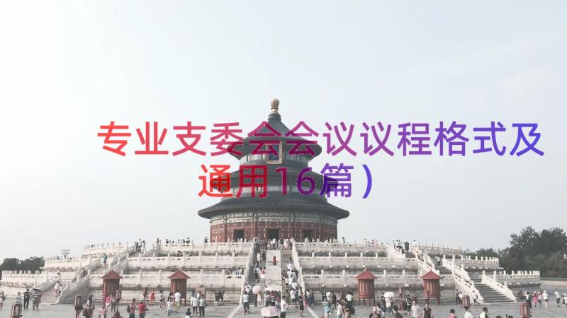 专业支委会会议议程格式及（通用16篇）