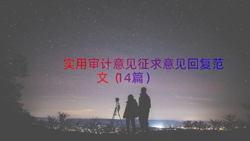 实用审计意见征求意见回复范文（14篇）